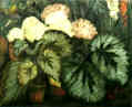 Still Life with Hydrangeas