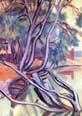 Willows