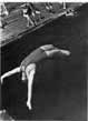 Free-style Diver