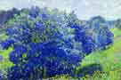 A Blue Bush. Pskov